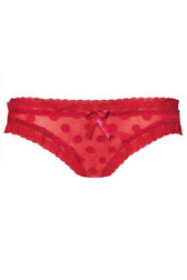 Papilio Mini Brief