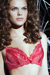 Midnight Sun Push Up Plunge Bra