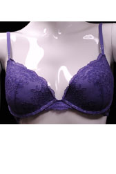 Lace Push-up Plunge Bra 
