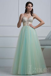 Long Net Dress